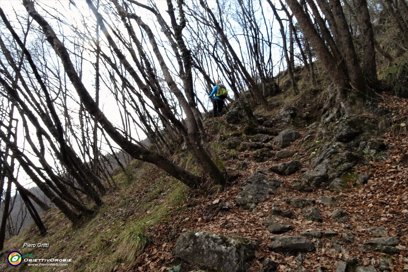 16 Dalla stradetta al sentiero di montagna.JPG